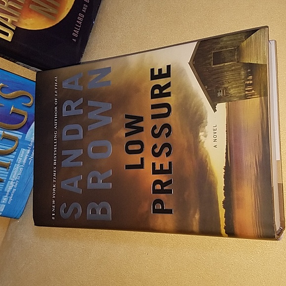 4 books Michael Connelly,Sandra Brown,Janet Evanovich, Susan Wiggs - Picture 6 of 9